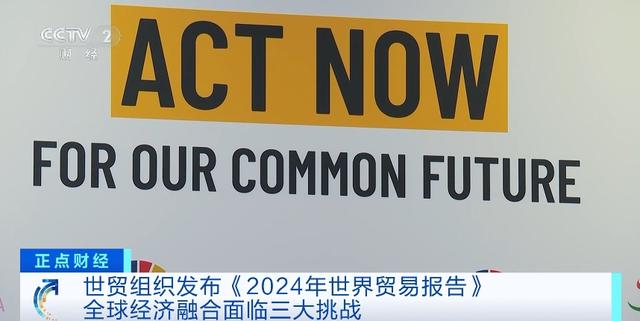 世贸组织发布2024年世界贸易报告：全球经济融合面临三大挑战(图4)