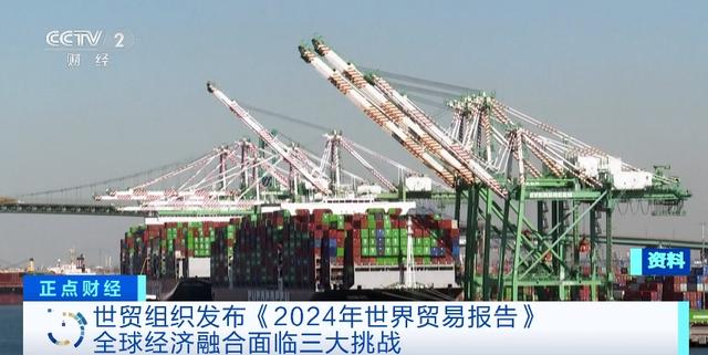 世贸组织发布2024年世界贸易报告：全球经济融合面临三大挑战(图3)